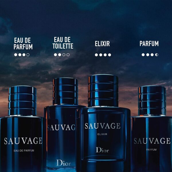 Sauvage - Eau de parfum 100 ML